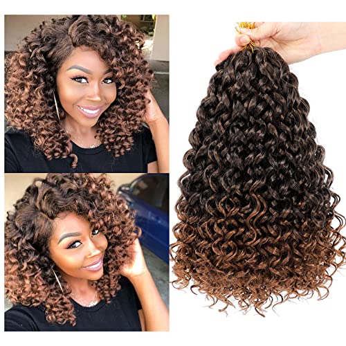 Dansama GoGo Curl Crochet Braids for Water Wave Crochet Synthetic Hair Extensions (14 inch (Pack of 6), T1B/30, Plus)