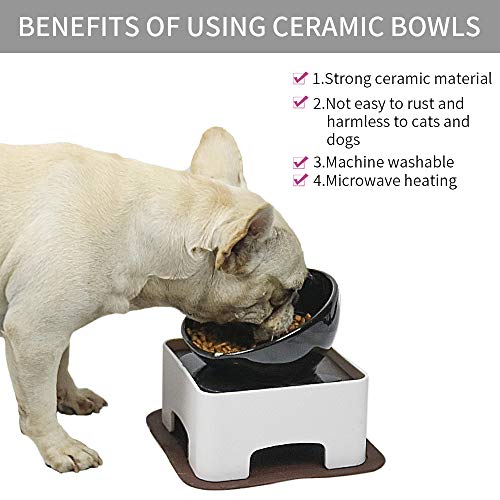 Image of Raised Tilted Dog Feeding Bowl,Elevated Ceramic Dog Bowls Set Anti-Slip,Standing Pet Feeding Dish for Small Medium Dogs and Cats,Black