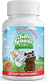 SILLYGOOSE GUMMIES MEGA-MULTIVITAMIN Kosher Healthy Gummy Vitamins for Children - Raspberry Flavor - NO Artificial Colors OR Flavors (120)