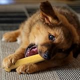Wildfang® Hartkäse Kaukäse für Hunde XS (ca. 28 g) für Hunde bis 10 kg – Kauspielzeug Hund aus Hartkäse, Härte wie Himalayan Yak Chews, Churpi-Käse-Sticks, Welpensnacks & Trainingssnacks, 3er Pack