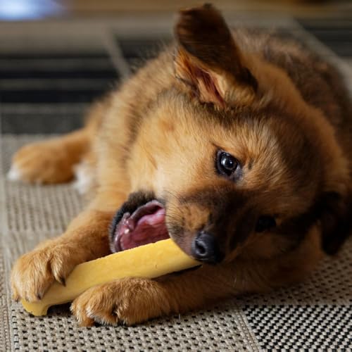 Wildfang® Yak-Kausnacks für Hunde, XS (ca. 21 g) – Himalaya Yak-Käse Hundekaustangen, Natürliche Hundeleckerlis, Welpen-Beißspielzeug, Harte Churpi-Dentalsticks für Hunde unter 10 kg, 1er-Pack