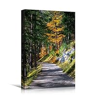 Canvas Wall Art Green Forest Dramatic Forest Landscape Living Room Multicolor Photography Rustic - 12x18 inches