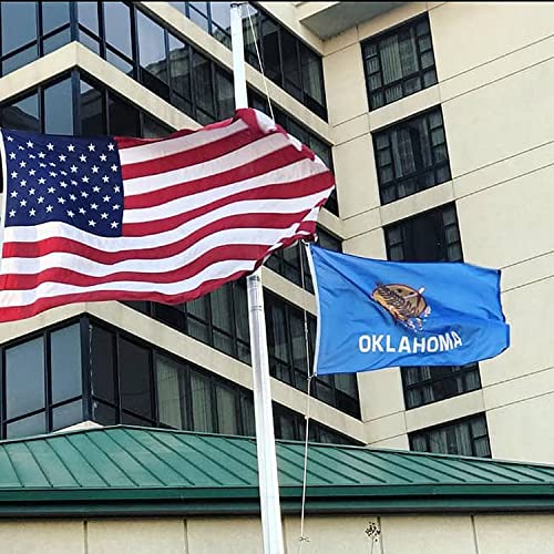 Xifan Double Sided Oklahoma State Flag 3X5 Ft, Heavy Duty 3 Ply Durable Polyester, Ok Flag With Vibrant Print/4 Rows Hemming/Brass Grommets For Indoor Outdoor Decor #TOP6