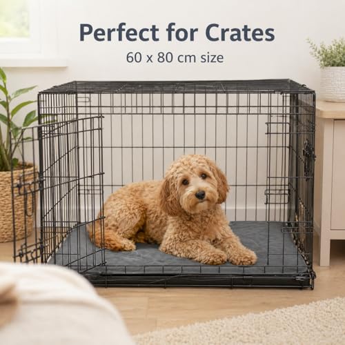 Maxetodo Tapis pour Chien Absorbant Réutilisable Housse de Canapé Imperméable Antidérapant Lavable en Machine pour Chiots, chiennes Enceintes, Chiens incontinents, cochons d'Inde, Lapins – vue 3