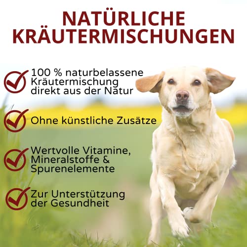 Stiefel Beruhigungskräuter für Hunde, 100% naturbelassene Kräutermischung, kann nervöse und gereizte Hunde unterstützen, mit Bierhefe, Hanf, Pfefferminz, Melisse, Johanniskraut & Baldrianwurzel, 100g