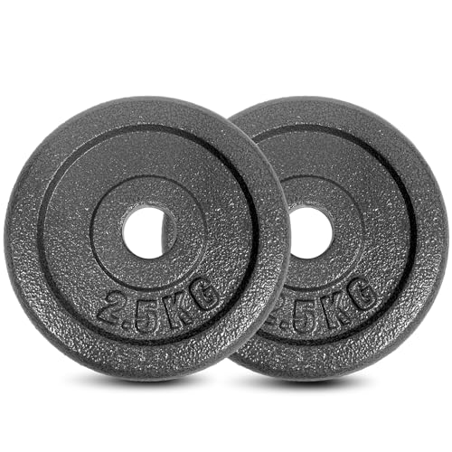 Cast-Iron Hammertone Weight Plates Set，1.25kg 2.5kg 5kg Standard Cast Iron Weight Plate 28mm Hole,for Dumbbells, Barbell, Weight Lifting, Home Gym Weightlifting Equipment (2.5kg*2)