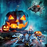 Amaxiu Halloween Streich Spinnenfiguren, 2 Stück Riesige Realistische Spinnen Action Modelle Kunststoff Tier Fake lebensechte gruselige für Halloween Requisiten Veranda Spukhaus Partyzubehör