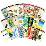 HomArt Matchbox Designs of Your Choice (2 Unique Box Designs with 4" Matches, Striking Stickers by T