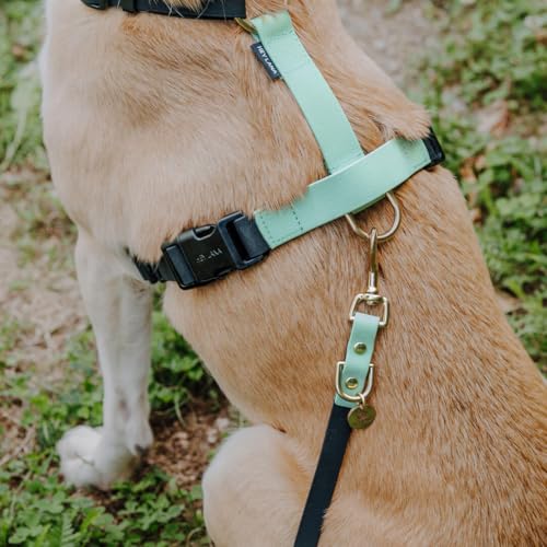 Hey Lana Hundegeschirr Handmade, 5-Fach verstellbar & wasserfest, Made in Germany, kleine bis sehr große Hunde, Führgeschirr Brustgeschirr Führungsgeschirr Training (M, schwarz/Mint)