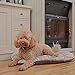 Ferplast Hundebett Hundekissen Katzenkissen Hundesofa für kleine Hunde, Katzenbett, 78 x 50 x 15 cm Waschbar Blau
