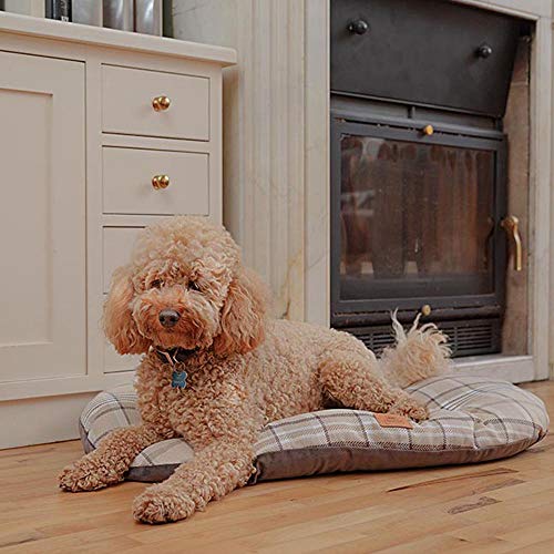 Ferplast Hundebett Hundekissen Katzenkissen Hundesofa für kleine Hunde, Katzenbett, 78 x 50 x 15 cm Waschbar Blau
