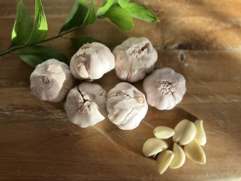 Mix Garlic Bulbs for Planting, 4 Bulbs, Mixed Types, Each Type One Bulb, Hardneck Softneck Garlic Bulbs, for Gardening Outdoors