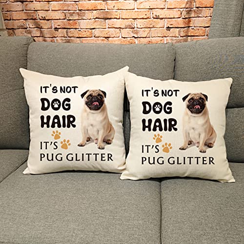 Ouz It's Pug Glitter Throw Pillow Cover - It's Not Dog Hair, Pug Dog Decor, Funny Pug Pillowcase, Gift For Dog Lovers, Sofa Bed Living Room Home Decoration, Pillowcase 18X18 Inch 8D302 #TOP3