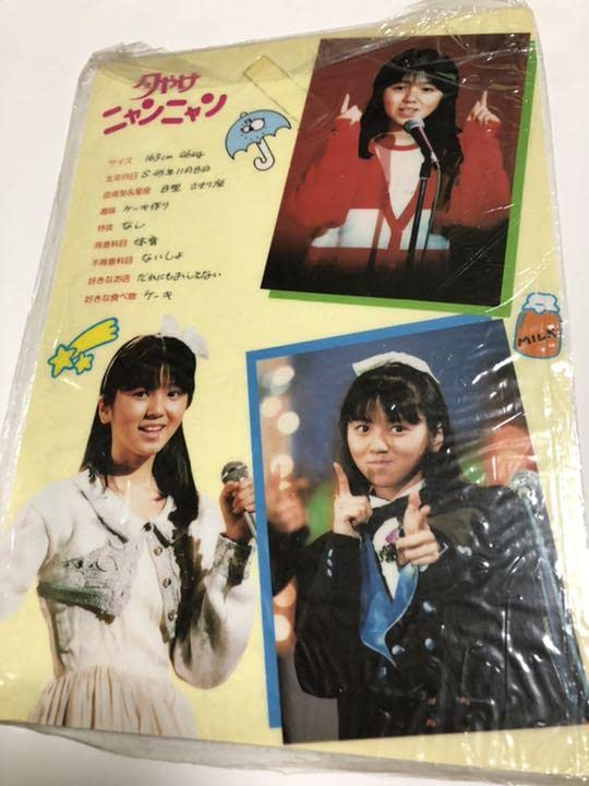 Amazon.co.jp: 渡辺満里奈 おニャン子クラブ 下敷き : 文房具