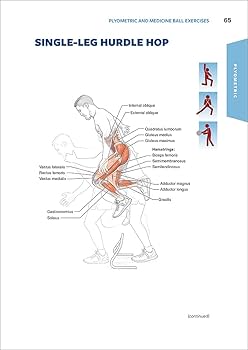 健康・医学 Effective Functional Progressions Effective Functional Progression in Sport Rehabilitation PDF
