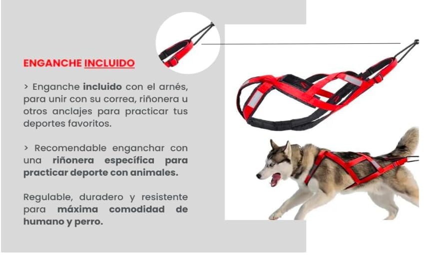 Total Anti-Zieh-Geschirr für Sport mit Hund, Laufen, Canicross, Schlitten, Mushing, Fahrrad, Roller... (L, Rot)