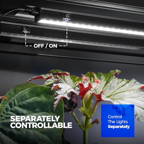 Image of Barrina T5 Grow Lights, 2FT 80W(8 x 10W) Black Cover, 5000K White, 8 Packs