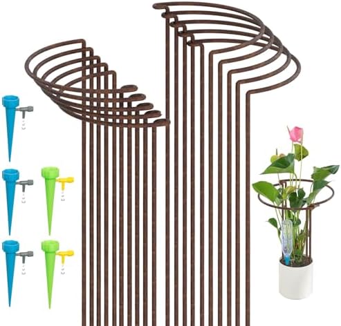 Metal Plant Supports Loop Stakes 5 pack 80cm, 100cm or 130cm tall (80cm ...