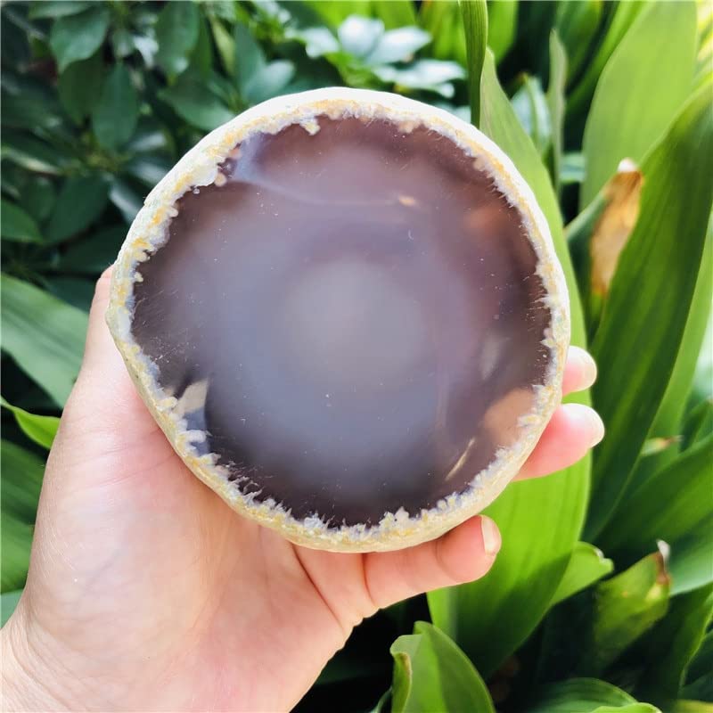 Décoration en Pierre de Cristal d'Agate à Bulles Naturelle | Cabinet de Curiosités