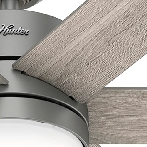 Hunter Fan 54 Inch Casual Matte Silver Indoor Ceiling Fan With Led Light Kit And Remote Control (Renewed) #TOP5
