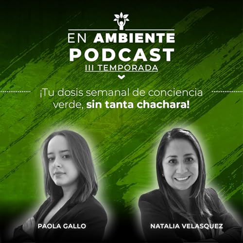 『En Ambiente』のカバーアート