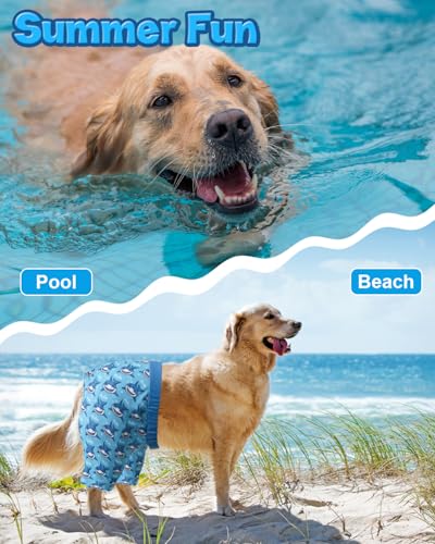 Image of CuteBone Dog Swim Trunks Swimsuit Durable & Comfortable - Quick-Dry, Adjustable Waistband Shorts, UV Protection Bikini- Perfect for Beach, Pool & Outdoor Fun, Shark DST02S