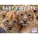 Baby Big Cat カレンダー 2026 カブス マンスリー 壁カレンダー 12か月 | アメリカ製