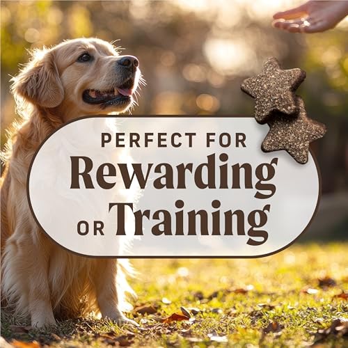 Image of Merrick Power Bites Chicken Recipe Soft Dog Treats, Grain-Free Dog Snack with Real Chicken, 6 oz Bag (Pack of 6)