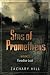 Sins of Prometheus 2