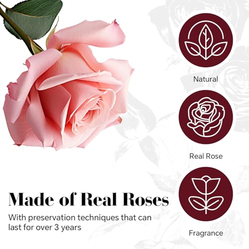 16 Preserved Roses Heart Shape Box, Forever Real Roses Gift, Forever Flowers Gift for Her Women Girlfriend Wife Mom Valentines Birthday Pink - Image 6