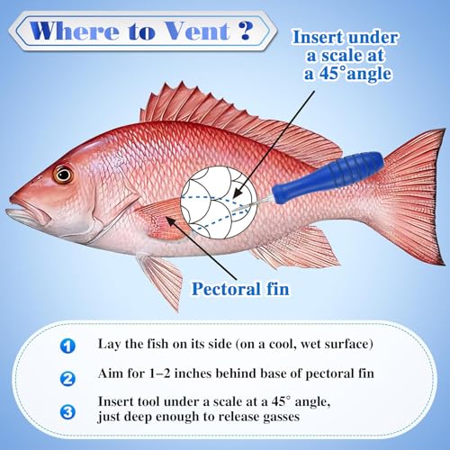 Image of Feekoon Fish Venting Tool, Venting Kit for Deep Sea Fishes with Stainless Steel Needle, Fishing Tackle for Saltwater Fishing Fish Release and Return (Patented)