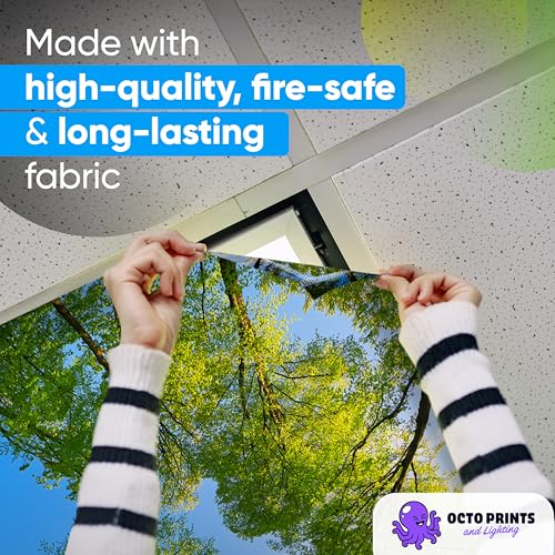 Image of Fluorescent Light Covers for Ceiling Lights - 4 Seasons Magnetic Cover for Fluorescent Or LED Fixture - Must Haves Teacher Supplies - Classroom, Home, Office Cubicle Decor - Filters Overhead Lighting