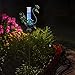 WONDER GARDEN Rain Gauge Outdoor,Freeze Proof Solar Rain Gauges Outdoors Best Rated, Peacock Decorative Rain Gauge Garden Stake for Yard,Garden,Lawn Decor