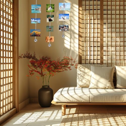 Fotodrahtseil, 5 Stück Fotodraht Mit Magneten, Fotoseil Fotodrahtseil, Edelstahl Draht Seil mit 60 Knopfmagnete, Fotokette Stahlseil mit Ösen und Haken Ideal zum Fotos 2 m X 1.5 mm