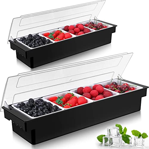 Zhehao 2 Pcs Ice Cooled Condiment Serving Container Chilled Garnish Container with Lid Plastic Fruit Veggie Condiment Caddy Organizer for Outdoor Parties Beach Iced Drinks