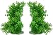 ByTheBay Plastic Aquarium Plant Set - Flexible Fish Tank Decorations - 2 Piece Bundle (Green)