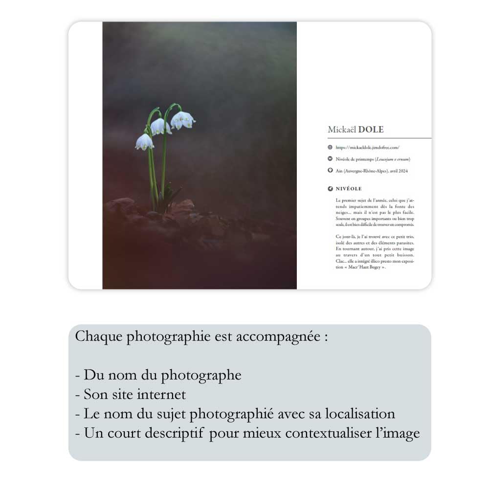 PROXI et MACROphotographie - les plus belles images de l'année-Édition 2025 | Beau livre | 112 p | 21 x29,7 cm