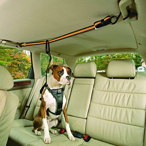 Kurgo Auto Zip Line - Backseat Zipline Harness for Car Travel - Dog Car Accessory for Safe Rides - Adjustable Pet Tether - Durable Nylon Zipline Leash Travel System - Image 5