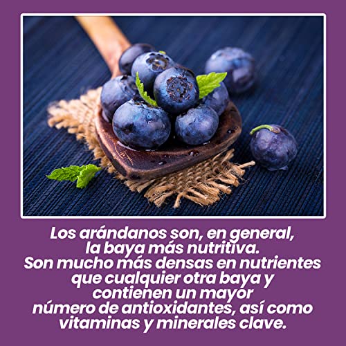 Phytovita Bilberry Strong Extract - Bilberry Juice - Bilberry Boost – Gentle Vegan Supplements For Women And Men - Liquid Bilberry Supplement - (6 X 50Ml) #TOP5