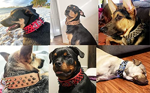 Collier pour chien à pointes bleu S idéal pour sorties en ville - 6