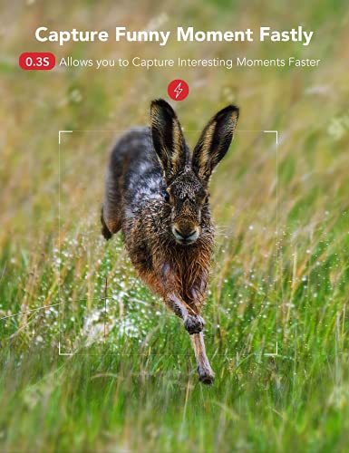 Wildkamera 20MP 1080P FHD 0,4s Auslösegeschwindigkeit mit Nachtsicht-Bewegungsaktivierter wasserdichter Outdoor… – Bild 4