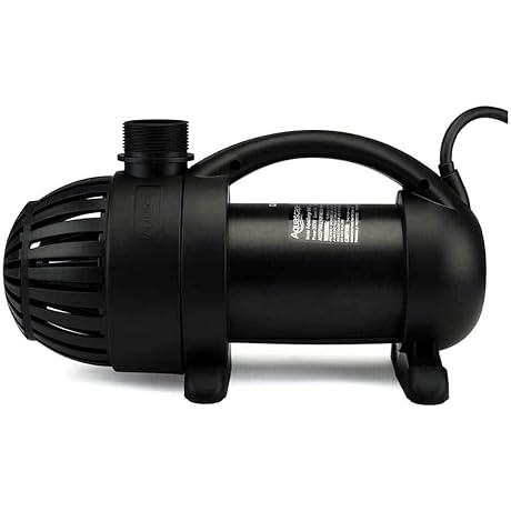 Aquasurge 3000 Pump: Experience a Surge of Power for Your Pool