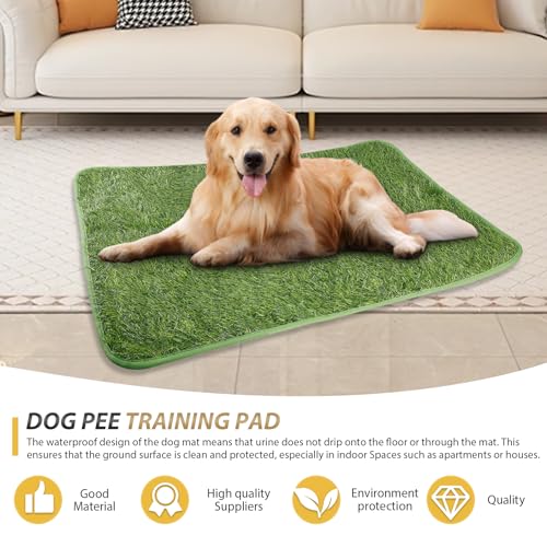 WIYETY Hundeklo Kunstrasen Hundetoilette, 50x70cm Welpentoilette Trainingsunterlage, Training Pee Pads, Waschbar Hunde Training Rasenmatte, Wasserdicht Hundetoilette für Zuhause, Wohnung