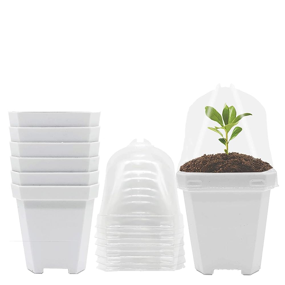 BE-TOOL 6 Sets Plastic Nursery Pots with Clear Humidity Dome, Square Seed Starting Pot 13.5cm Height for Seedlings Vegetables Succulents (White)