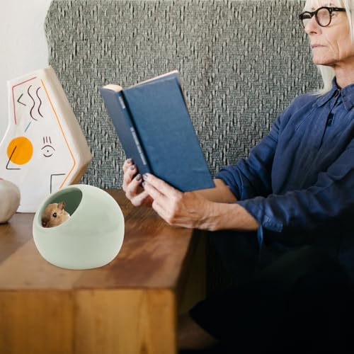 Niche en céramique pour hamster et petits rongeurs POPETPOP vert
