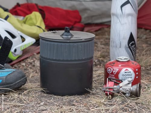 Portable Propane Camping Stove