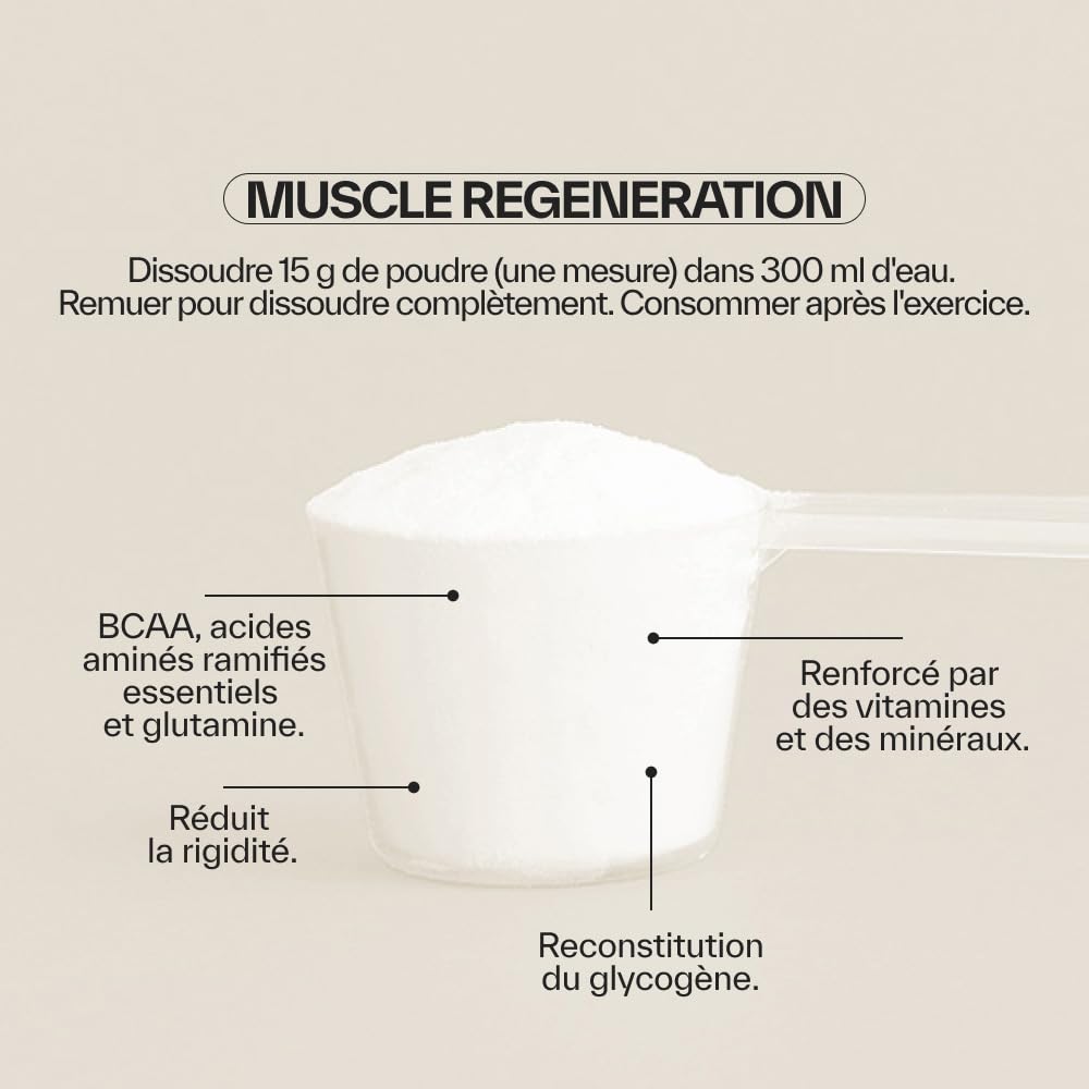 NDL Pro-Health BCAA 2:1:1 + Glutamine poudre avec vitamines et minéraux | récupération musculaire, réduction des courbatures et performance, goût fruits rouges, 300 g – Rafa Nadal & Cantabria Labs