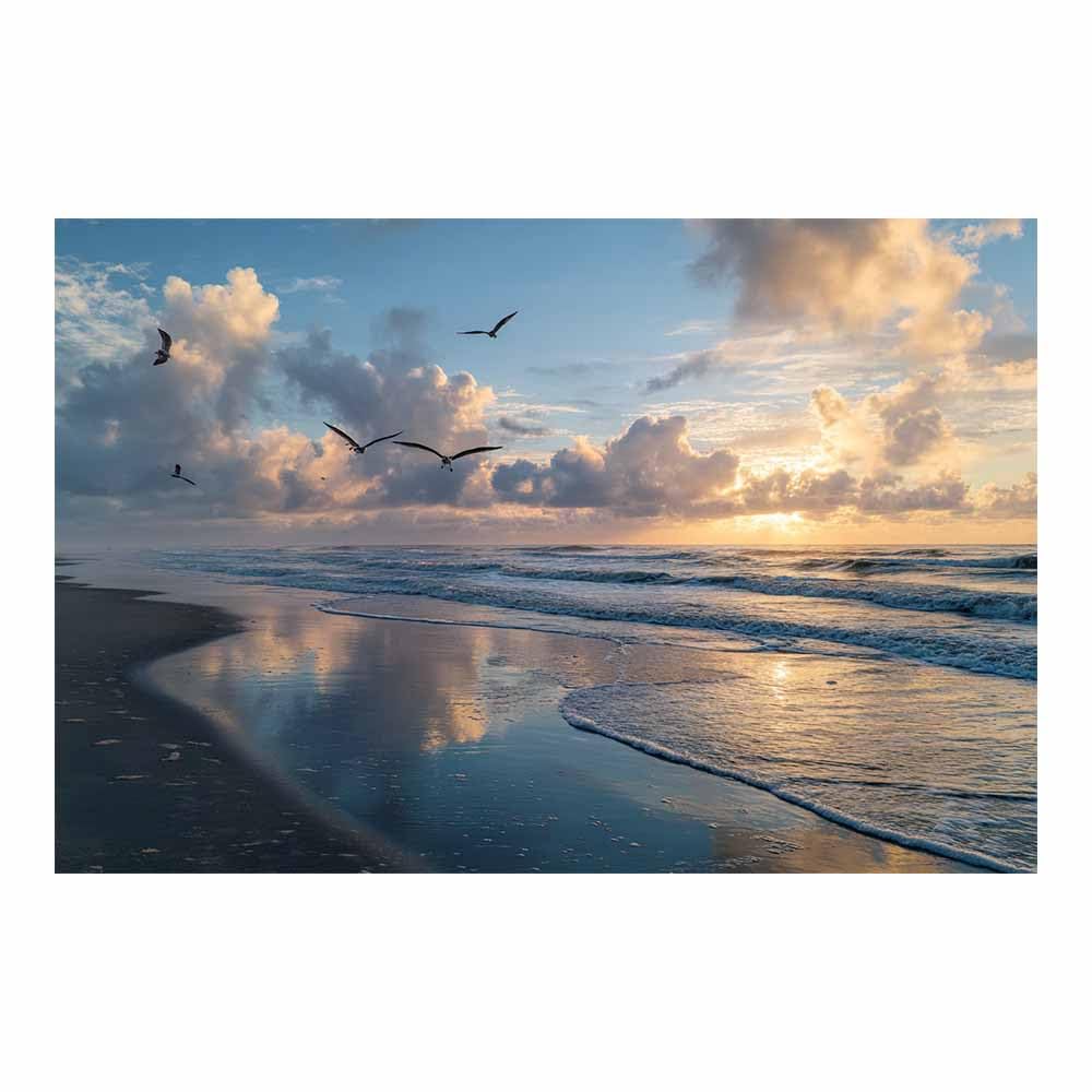 DMZPKZB Modern Landscape Picture Beaches es Seagullss Sunset Viewss Canvas Wall Art,Minimalism Scenery Painting,for Dining,Bathroom, Living Room, Bedroom,Corridor(Multicolor)-50x70cm Unframed