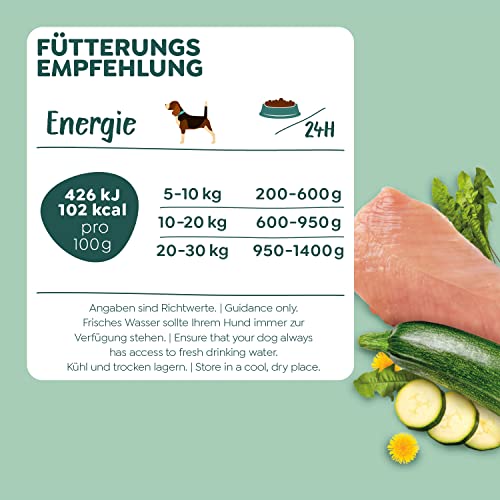 WOW Hundefutter nass Adult mit Pute, 11x 150g I reichhaltiges Nassfutter für ausgewachsene Hunde aller Rassen I beste Qualität mit viel Fleisch, Zucchini & Löwenzahn I hohe Akzeptanz & Verträglichkeit