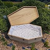 petbye B0BNQTFBS9 lato 4